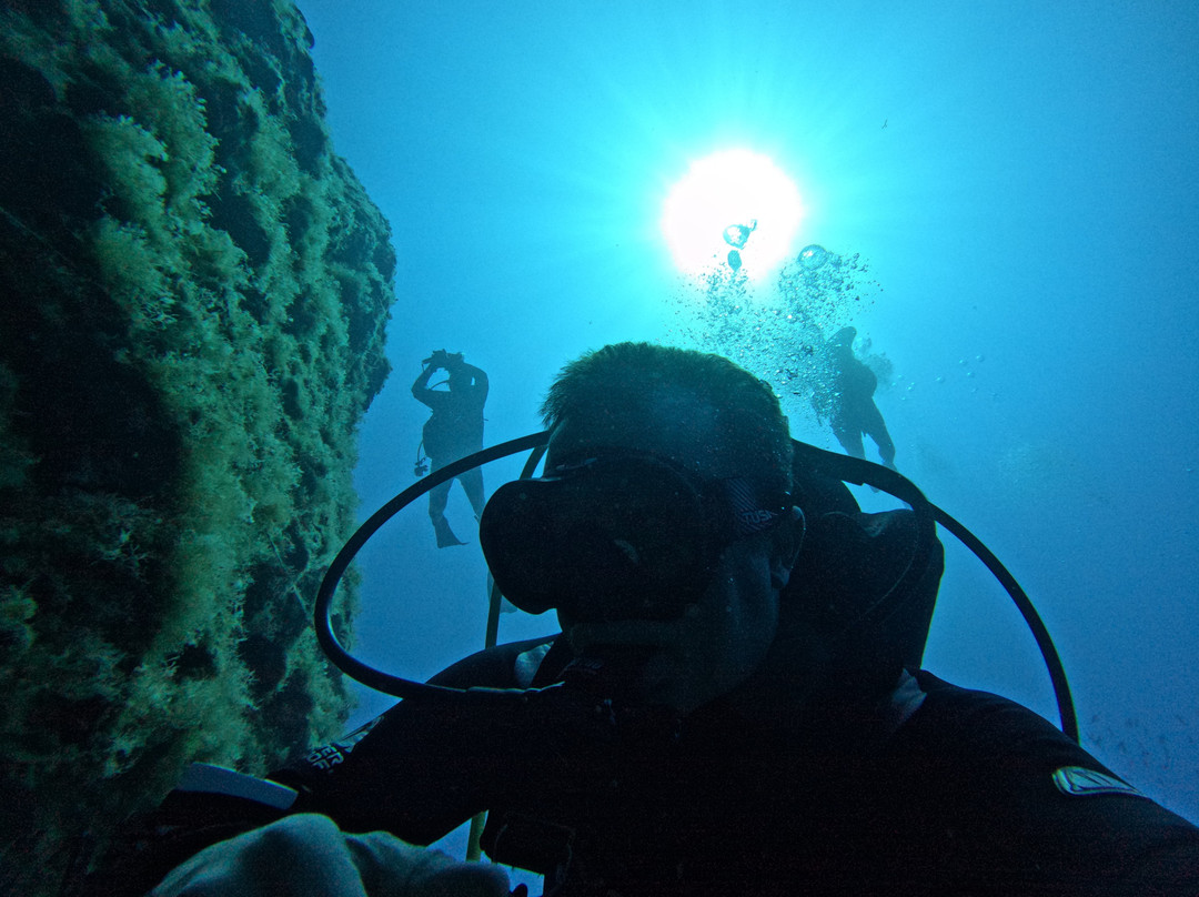 Seahorse Dive Center-瓦里必去景点
