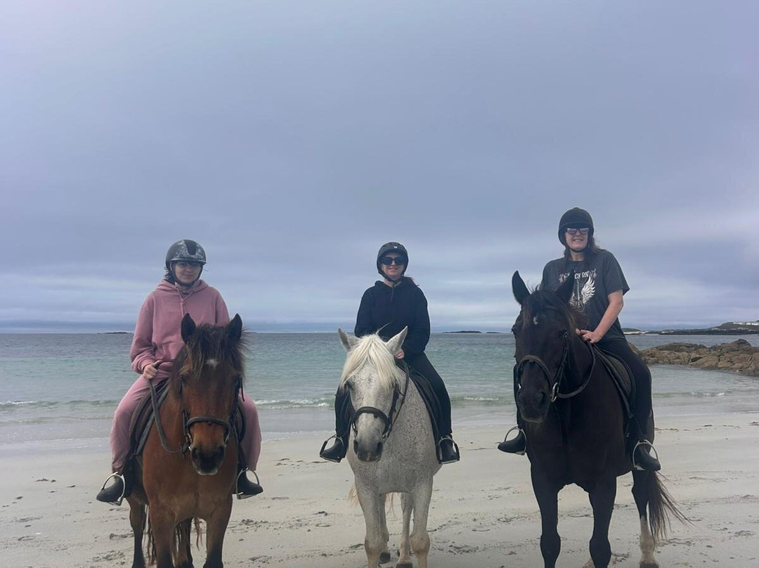 The Point Equestrian Centre and Pony Trekking-Ballyconneely必去景点