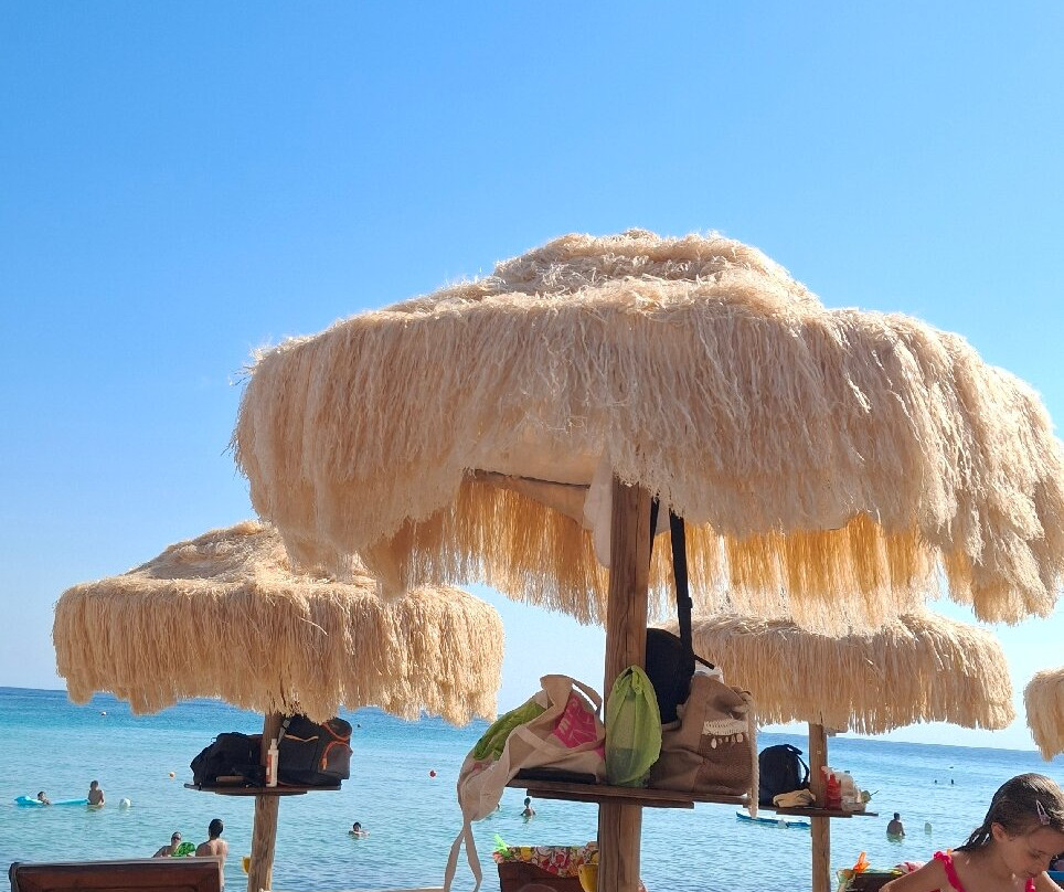 Samanà Beach-Punta Prosciutto必去景点