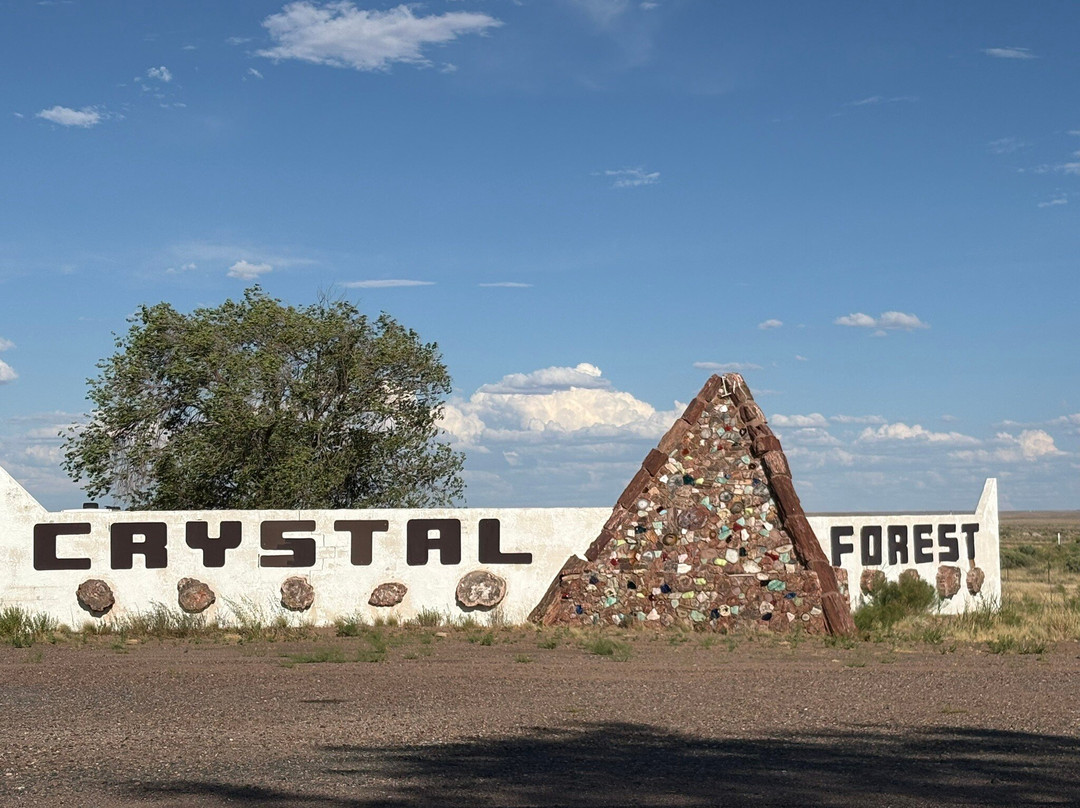 Crystal Forest Museum & Gift Shop-霍尔布鲁克必去景点