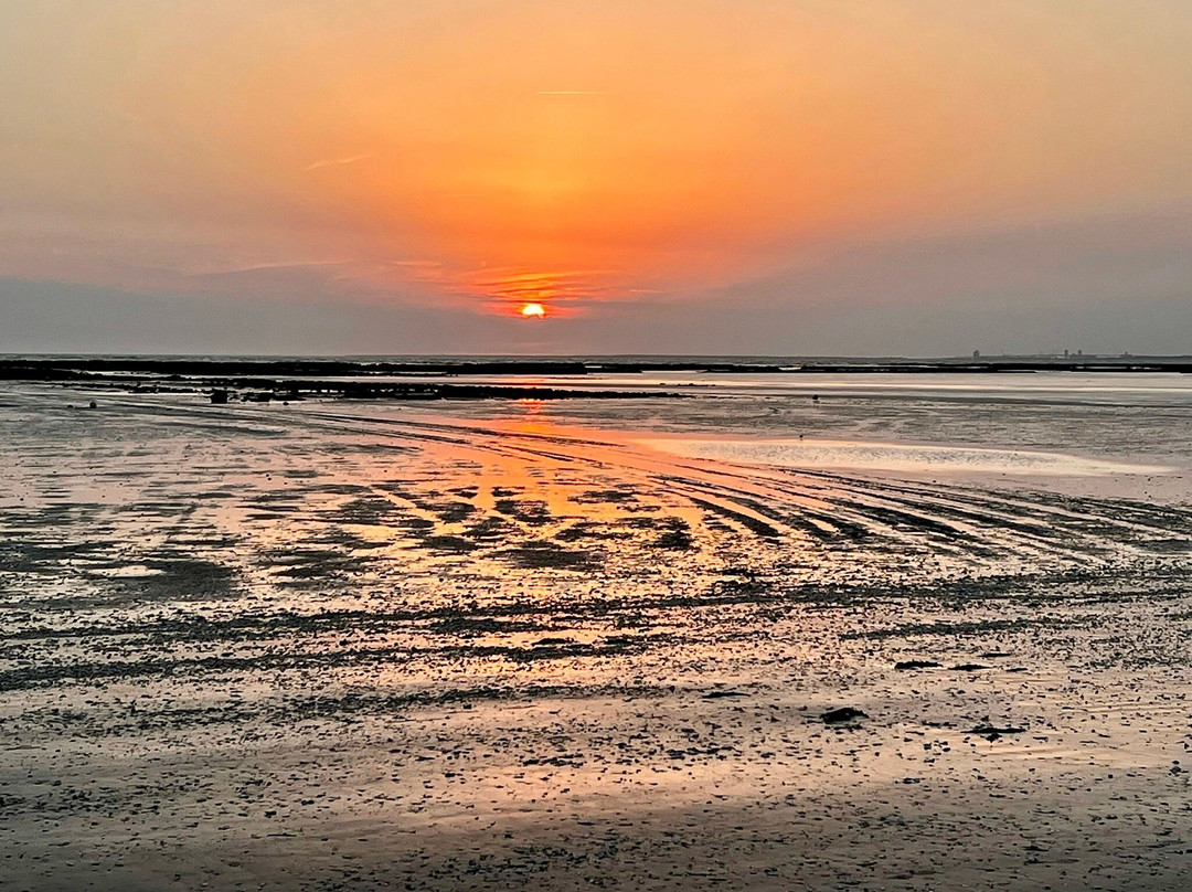 Plage de Châtelaillon-Chatelaillon-Plage必去景点