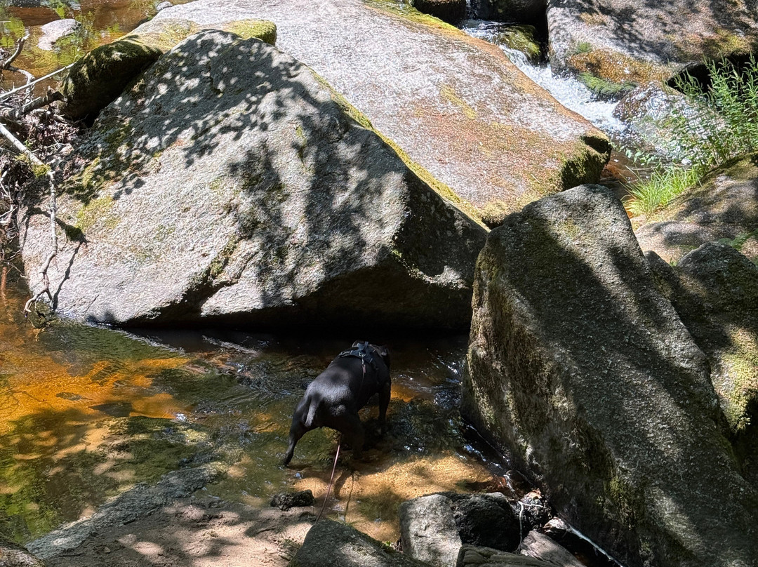 Cascades des jarrauds-Saint-Pardoux-Morterolles必去景点