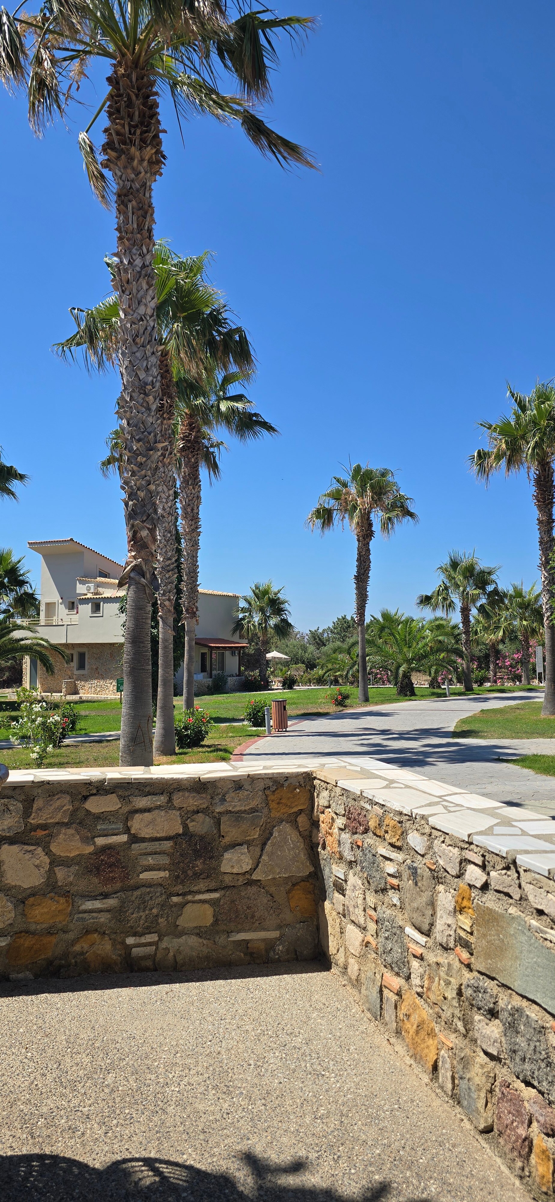 Achilleas Beach Hotel-旅行者
