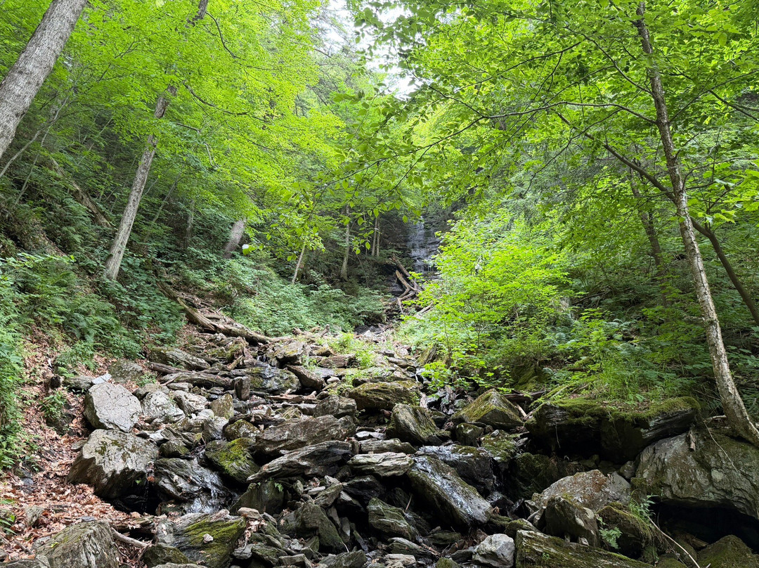 Money Brook Trail-威廉斯敦必去景点