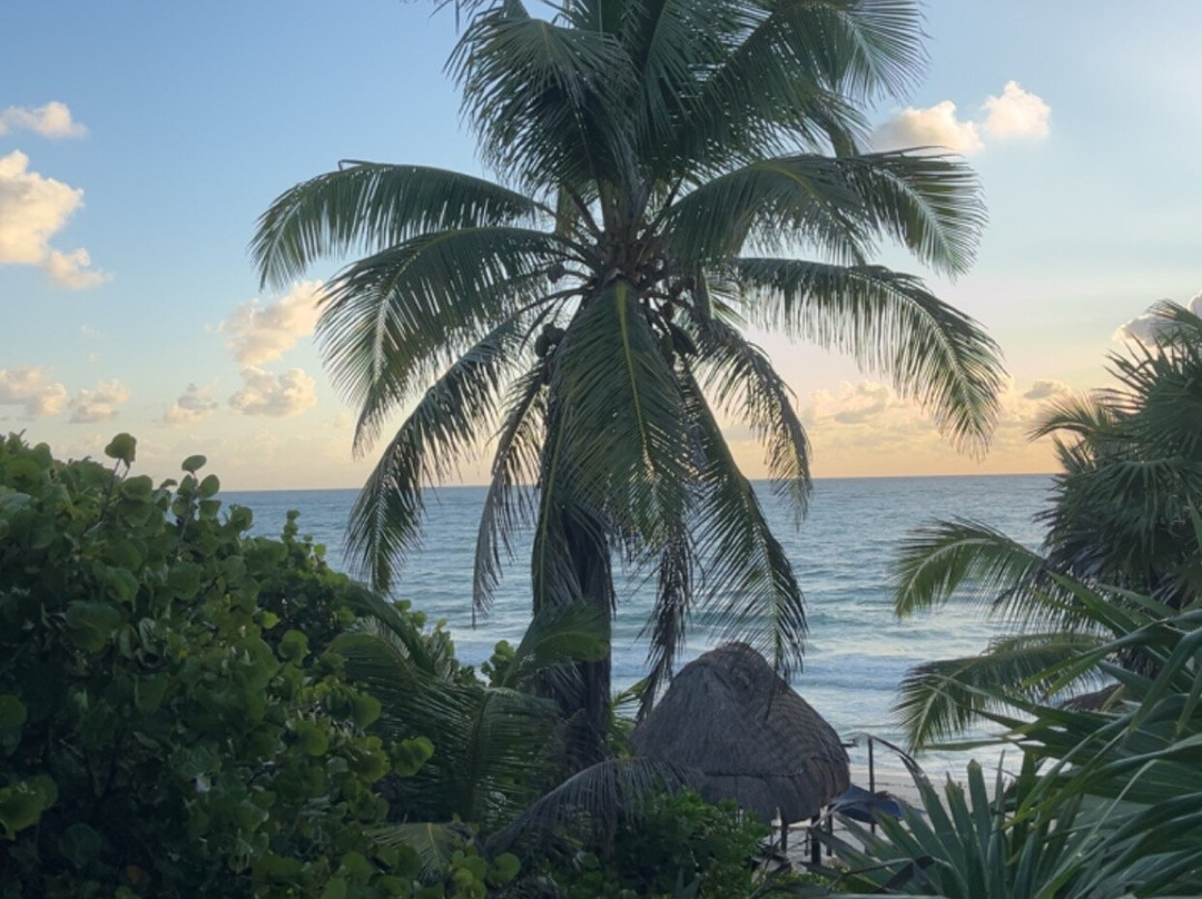 Libelula  Beachfront Hotel 蜻蜓图兰海滨酒店主图