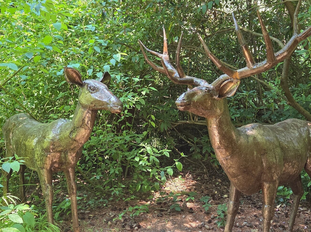 The Sculpture Park-Churt必去景点