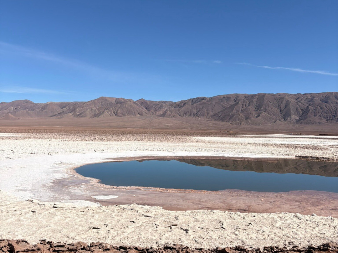 Lagunas Baltinache-圣佩德罗-德阿塔卡马必去景点
