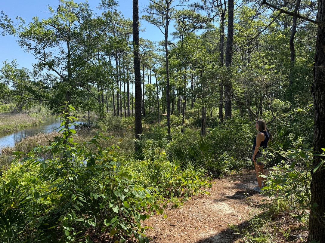 Fontainebleau Nature Trail-Ocean Springs必去景点