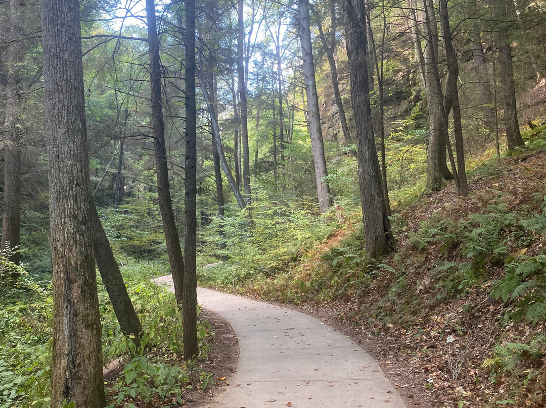 Conkles Hollow State Nature Preserve-Rockbridge必去景点