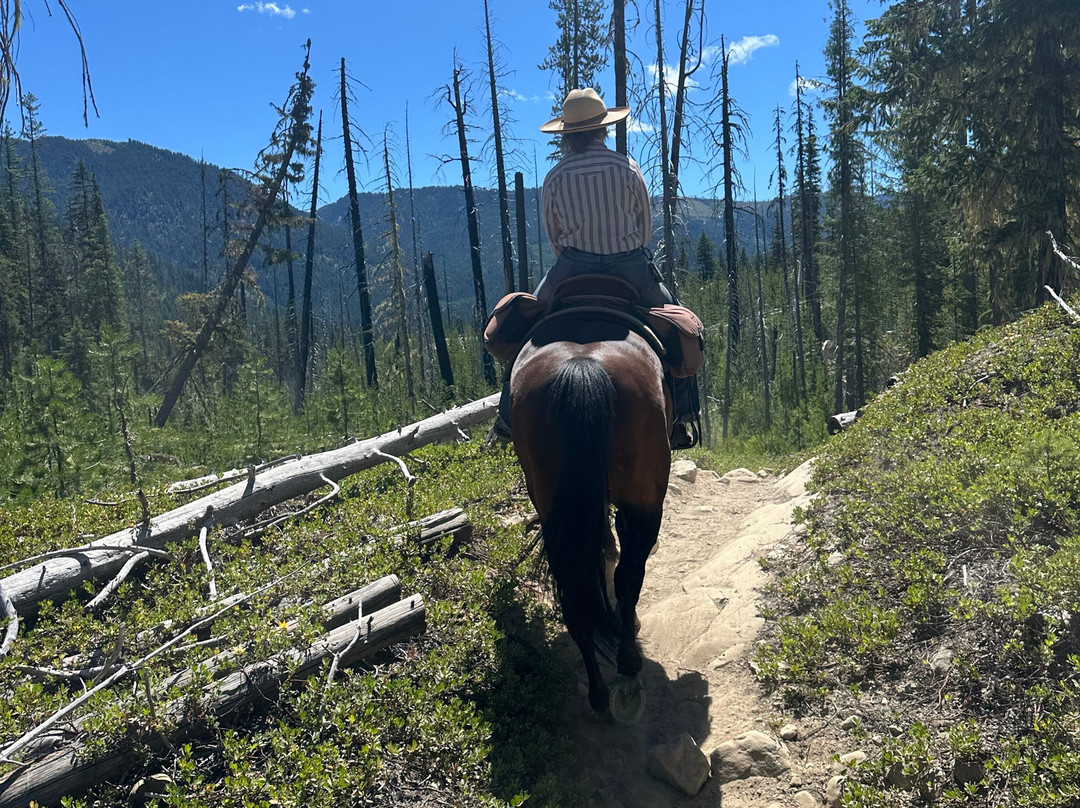 Three Peaks Outfitters - Day Tours-Cle Elum必去景点