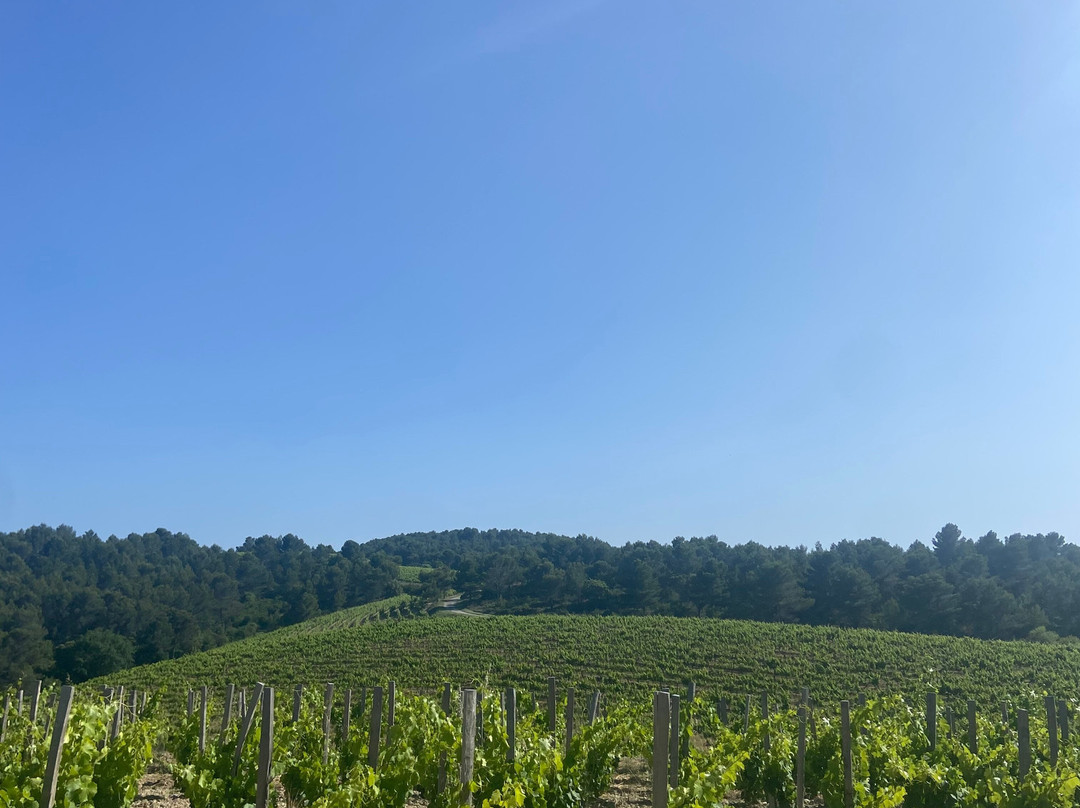 Domaine de Mourchon-Seguret必去景点