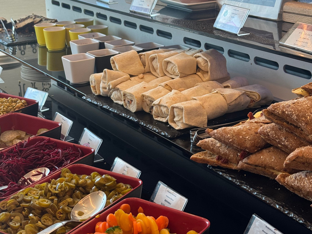 Plaza Premium Lounge (Non-Schengen Area, Departures, Mezzanine Floor, Terminal 2B)-布达佩斯必去景点