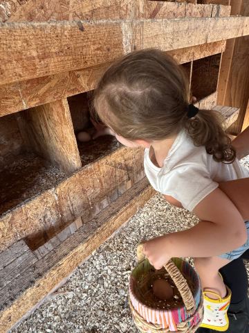 Rocky Acre Farm B&B-旅行者