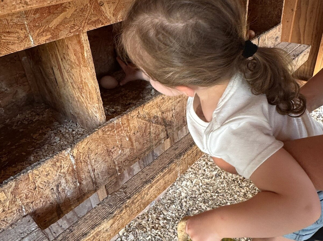 Rocky Acre Farm B&B主图