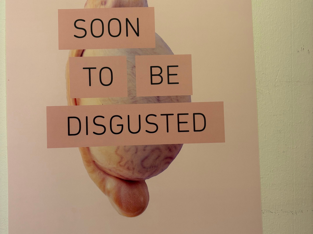 Disgusting Food Museum-马尔默必去景点