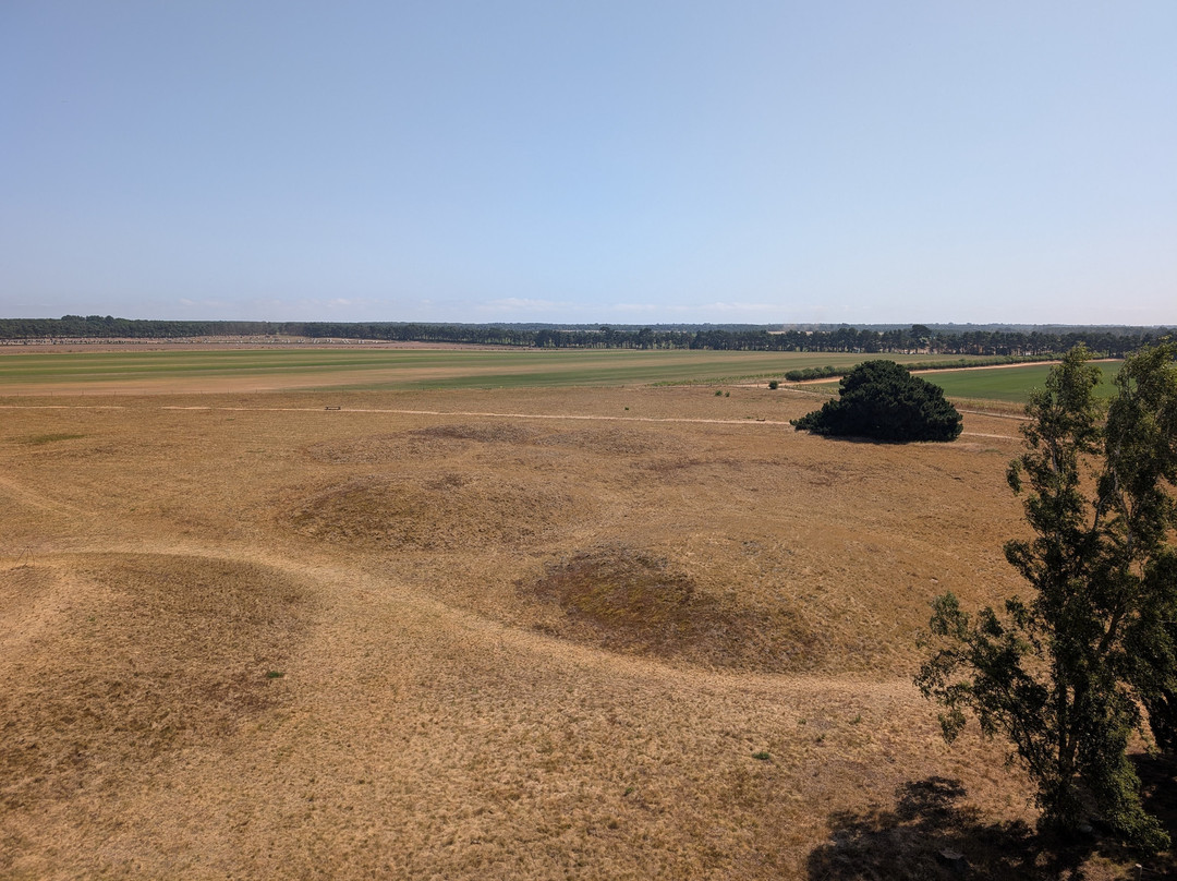 Sutton Hoo-Woodbridge必去景点