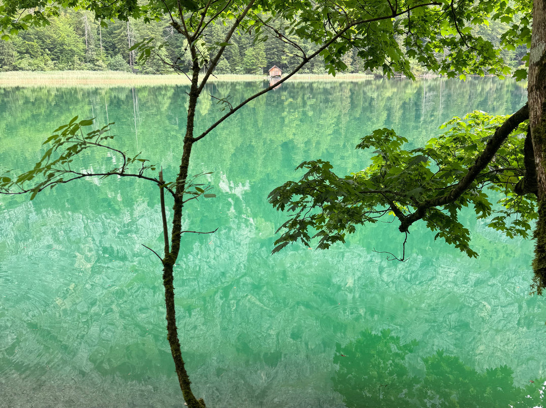 Leopoldsteinersee-Eisenerz必去景点