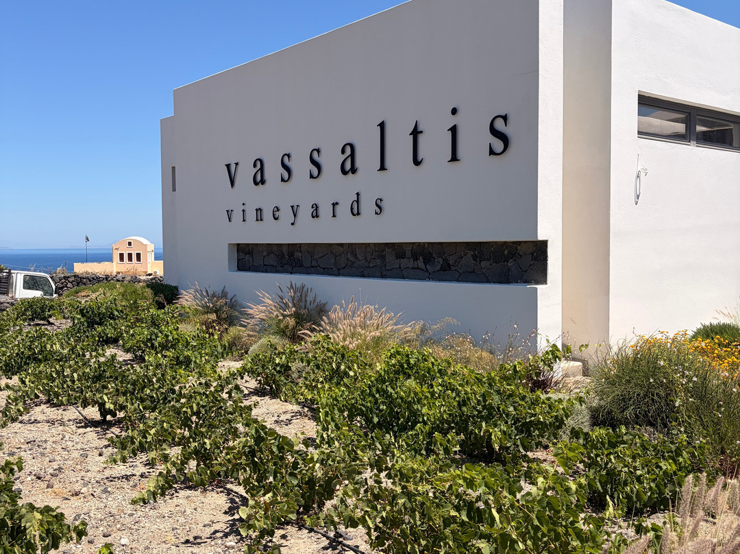 Vassaltis Vineyards-Vourvoulos必去景点