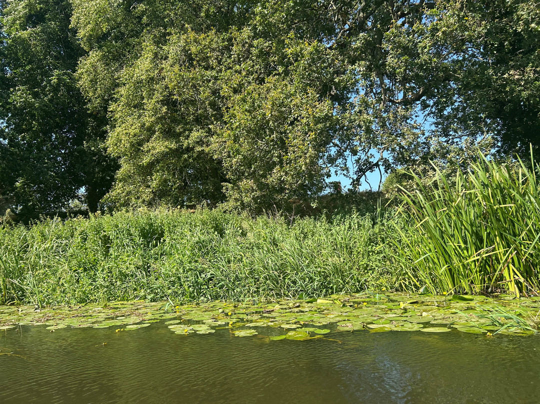 Shrewsbury Canoe Hire-什鲁斯伯里必去景点