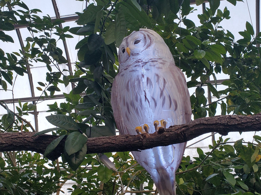 Krohn Conservatory-辛辛那提必去景点