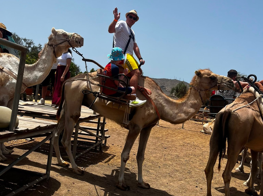 Camel Park-阿罗纳必去景点
