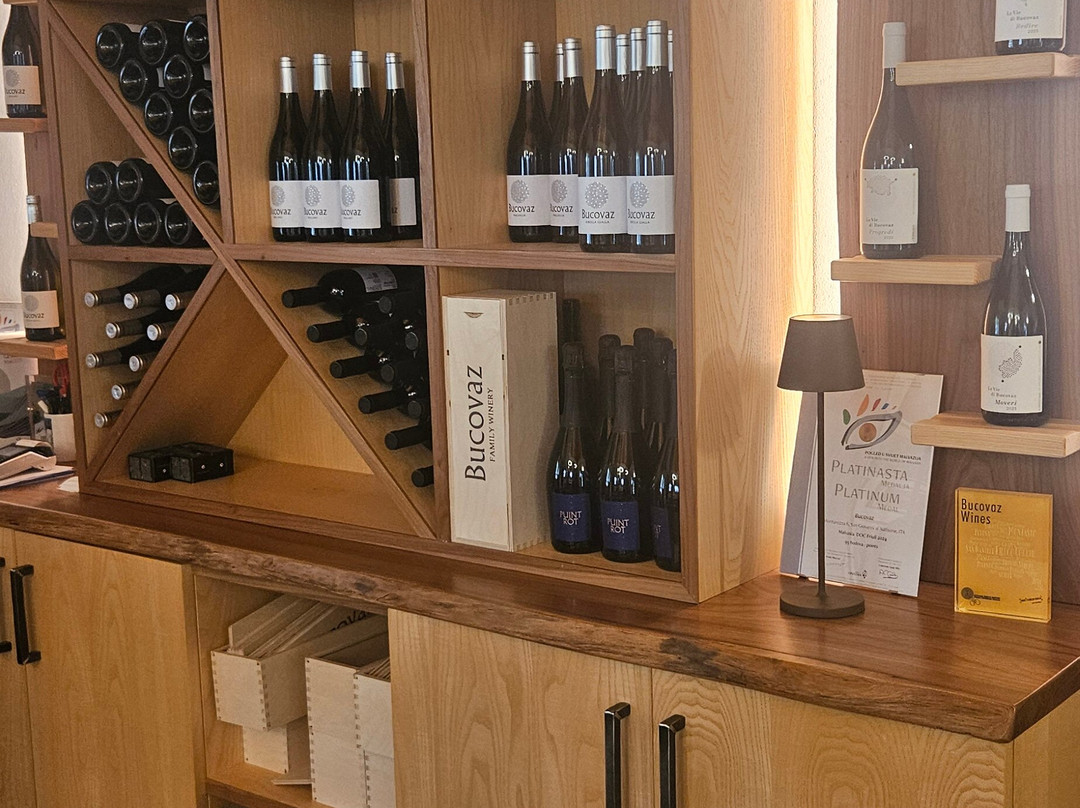 Bucovaz Wines-Dolegnano必去景点