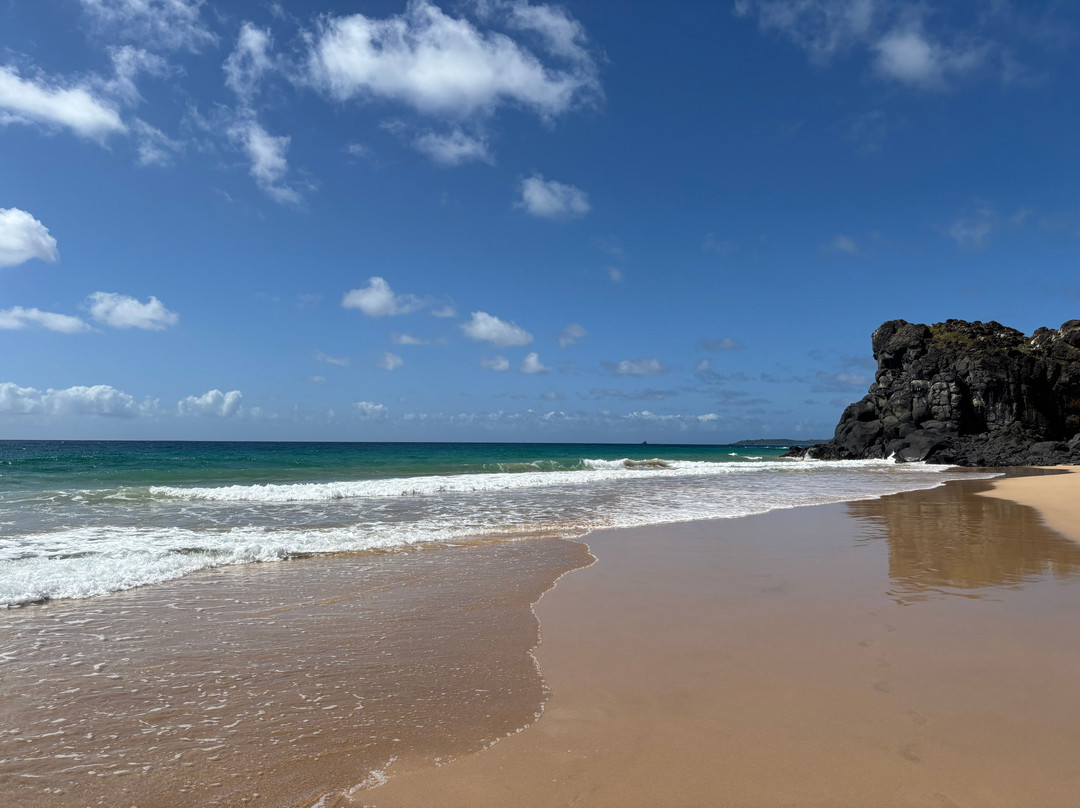 Praia do Bode-费尔南多-迪诺罗尼亚群岛必去景点