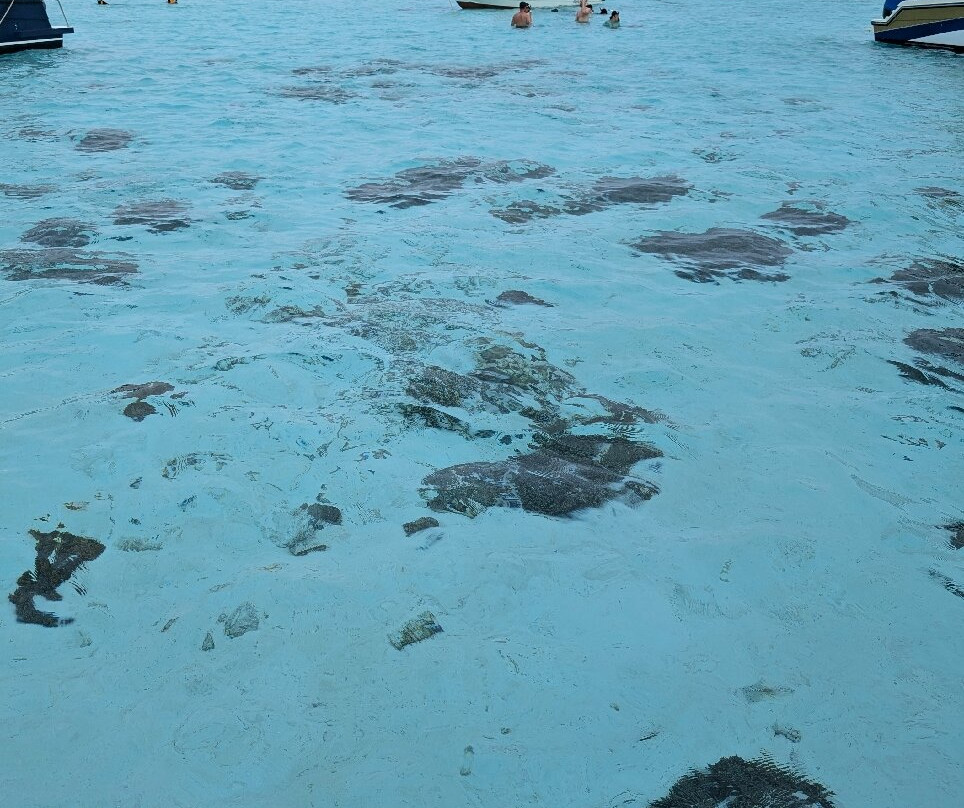 Taka Makassar Island-Labuan Bajo必去景点