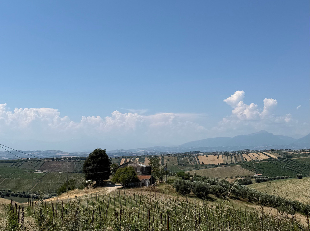 Villa Susanna Degli Ulivi - Resort & Spa主图