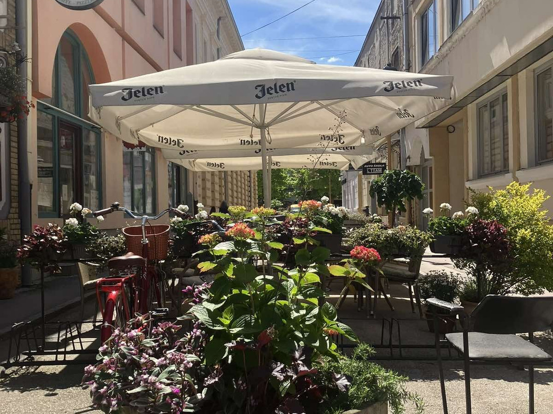 Guest House Prenoćište Piccolina主图