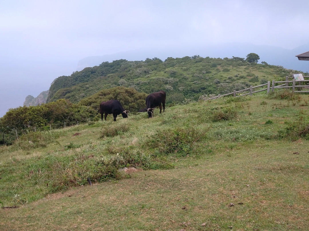 Matengai Cliff-西之岛町必去景点