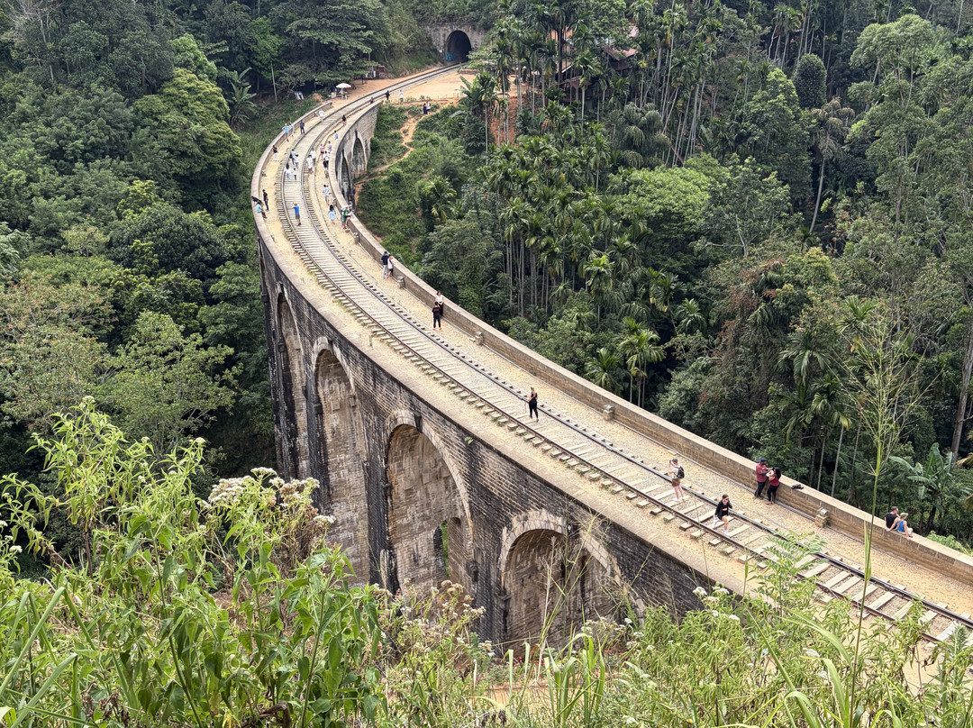 Mahaweli Tours & Holidays-尼甘布必去景点