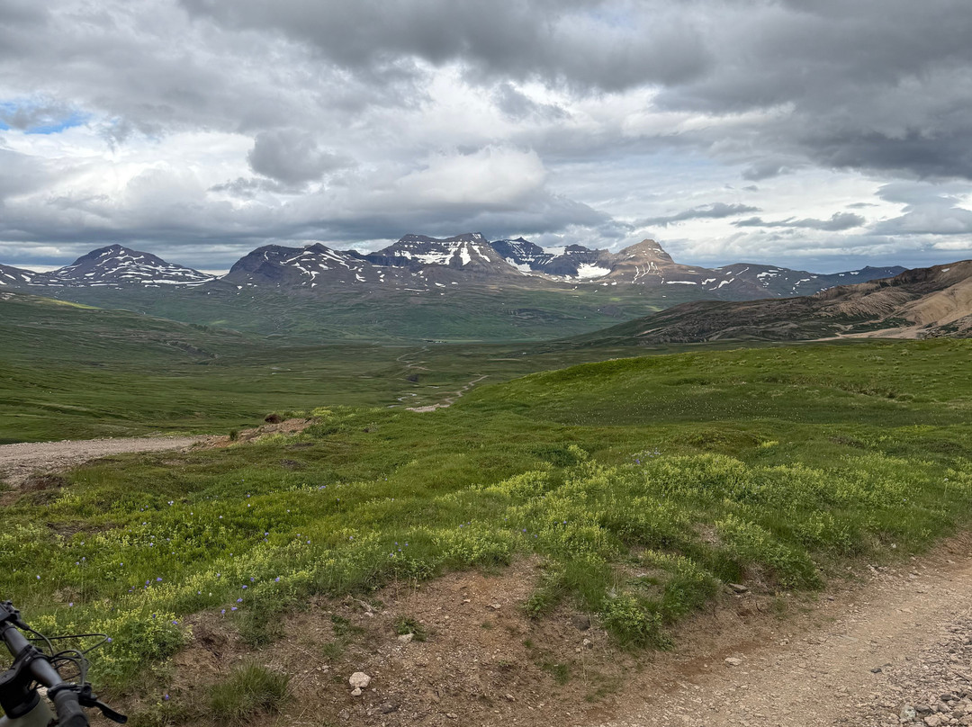 Fjord Bikes-Borgarfjordur Eystri必去景点