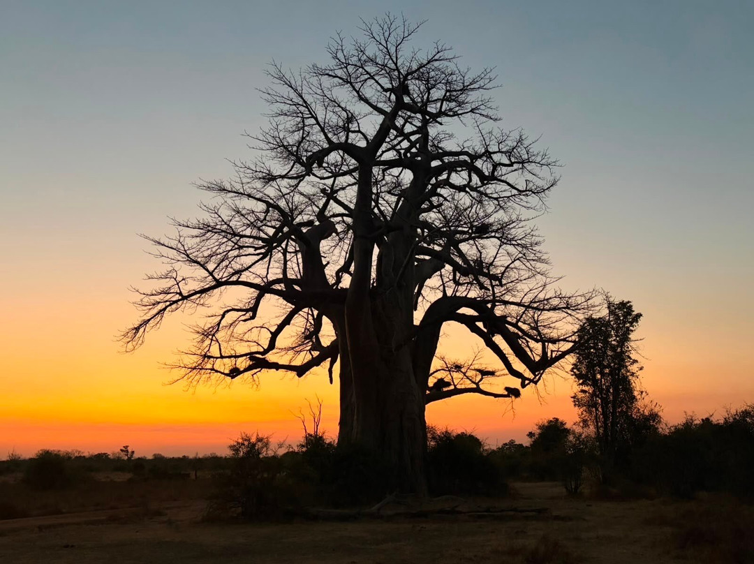 Msandile River Lodge主图