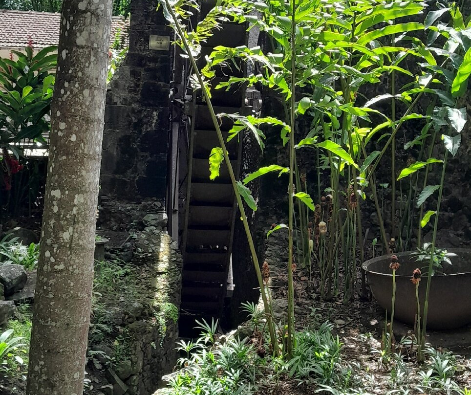 Zoo de Martinique-Le Carbet必去景点