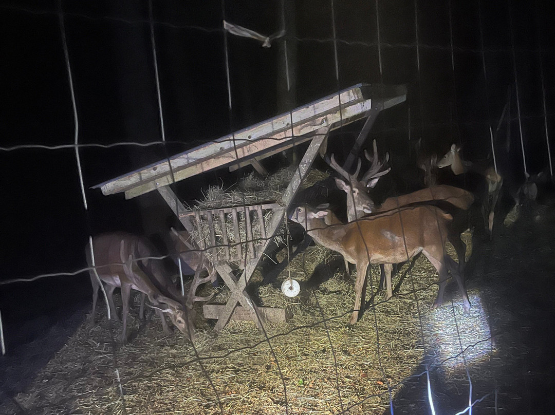 Parc Animalier de Fougerolles - Saint-Valbert-Fougerolles必去景点