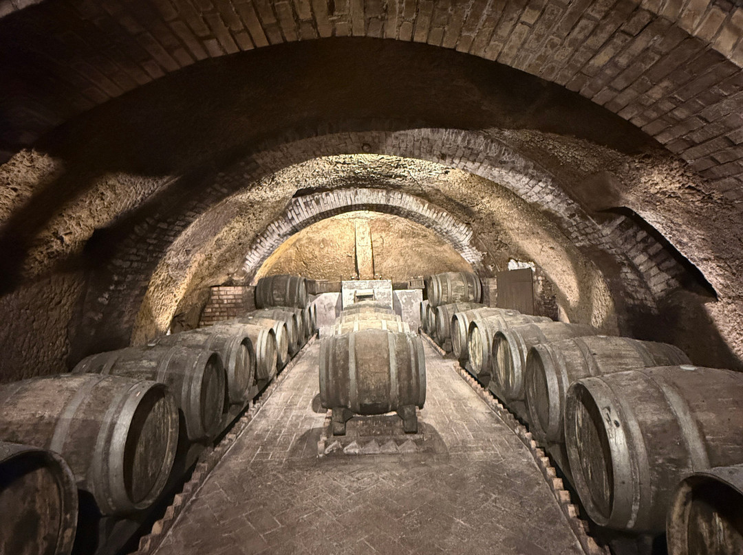 Cantine del Notaio-Rionero in Vulture必去景点