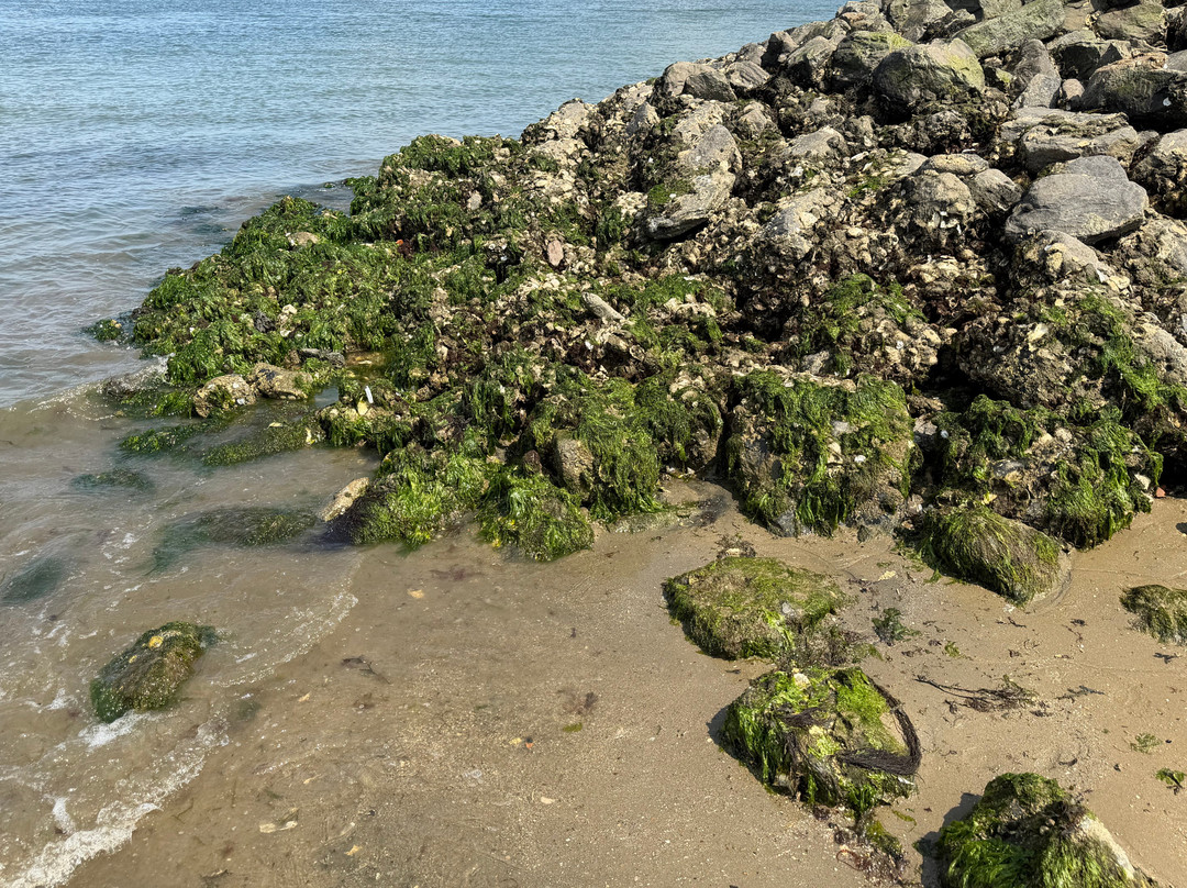 Strand Wemeldinge