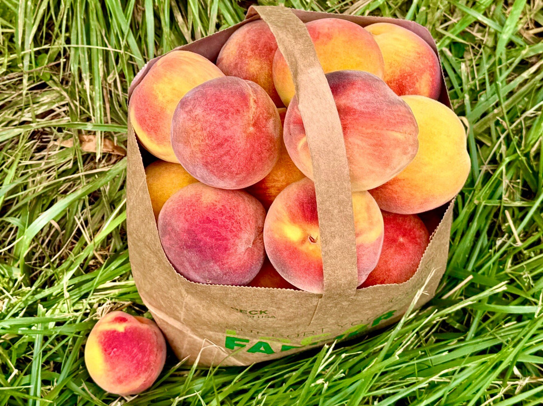 Carter Mountain Orchard-夏洛茨维尔必去景点