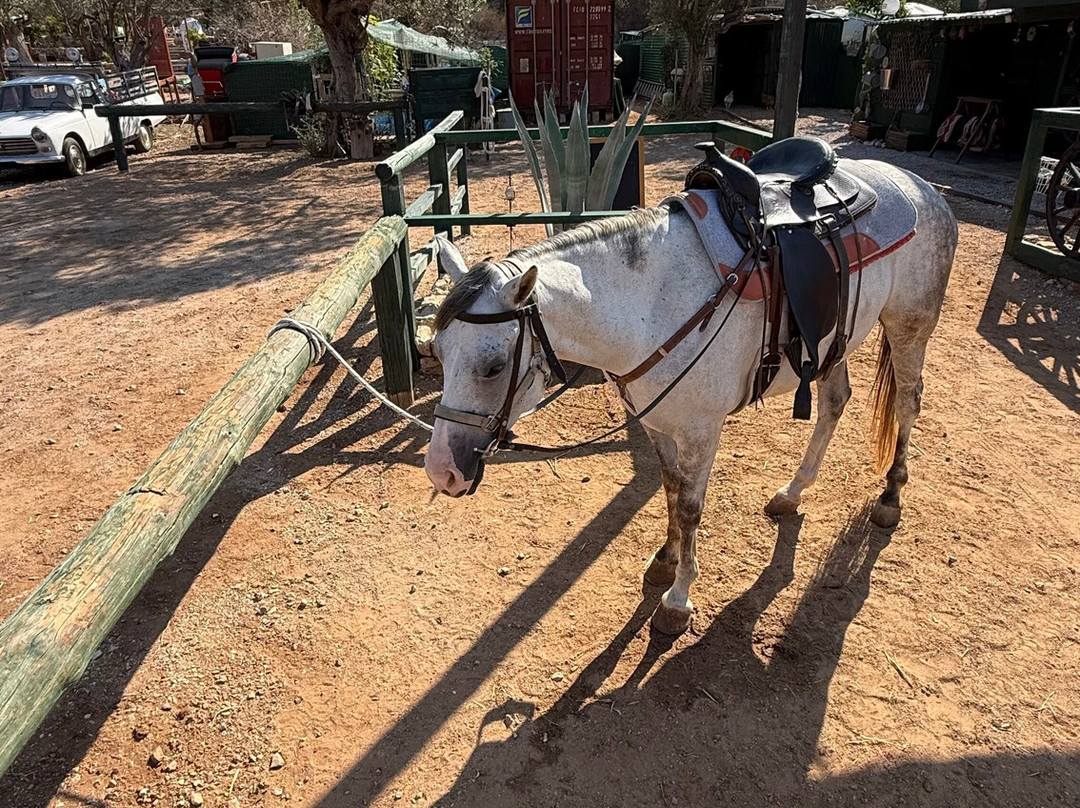 Horse Riding Aponisos-Angistri必去景点