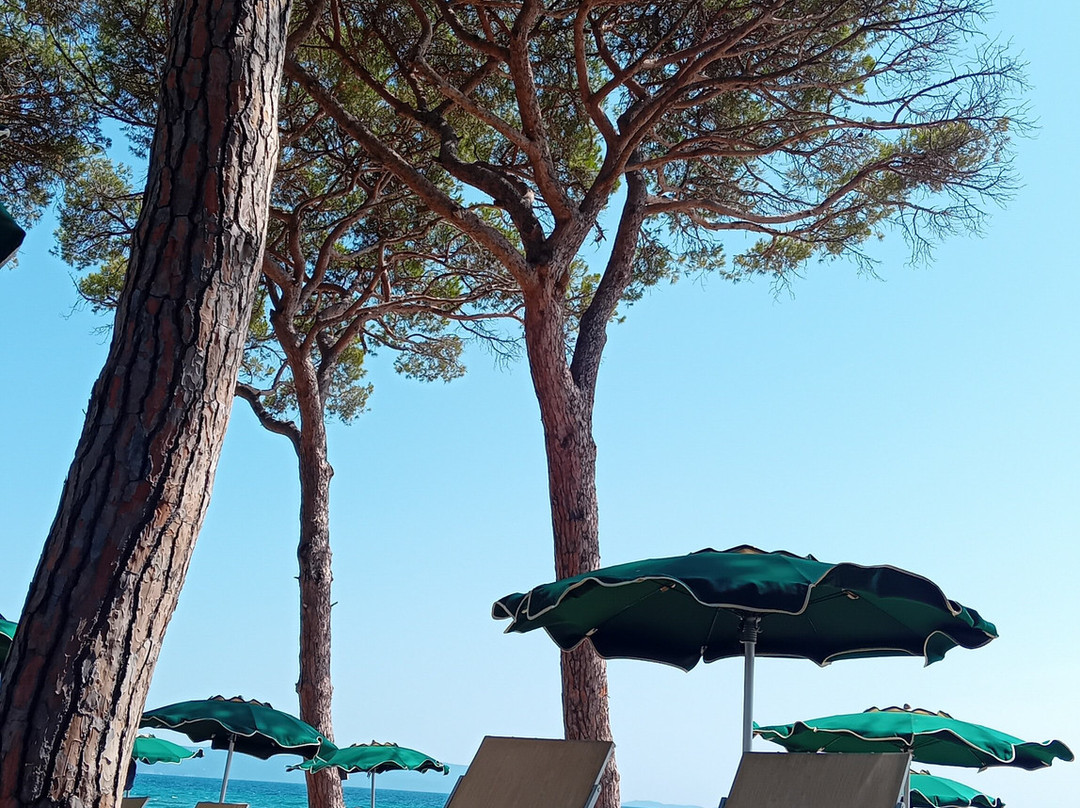 Spiaggia Libera di Torre Mozza-Riotorto必去景点