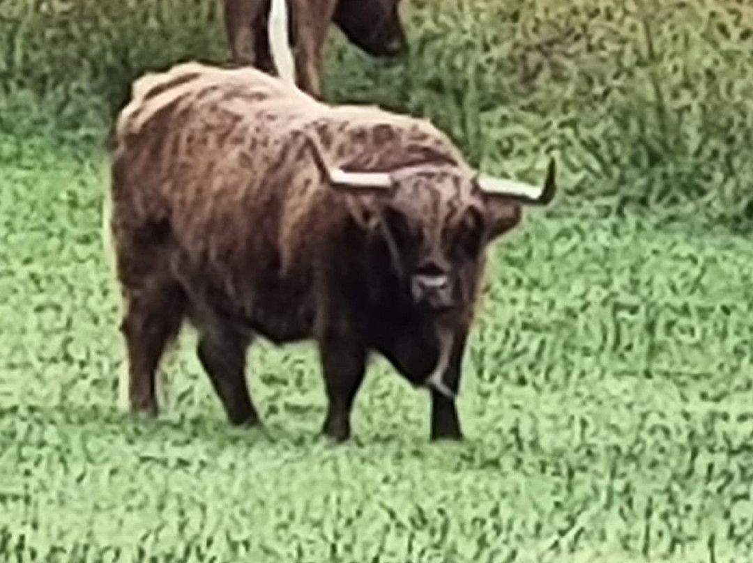 Fermanagh Fun Farm-Lisbellaw必去景点