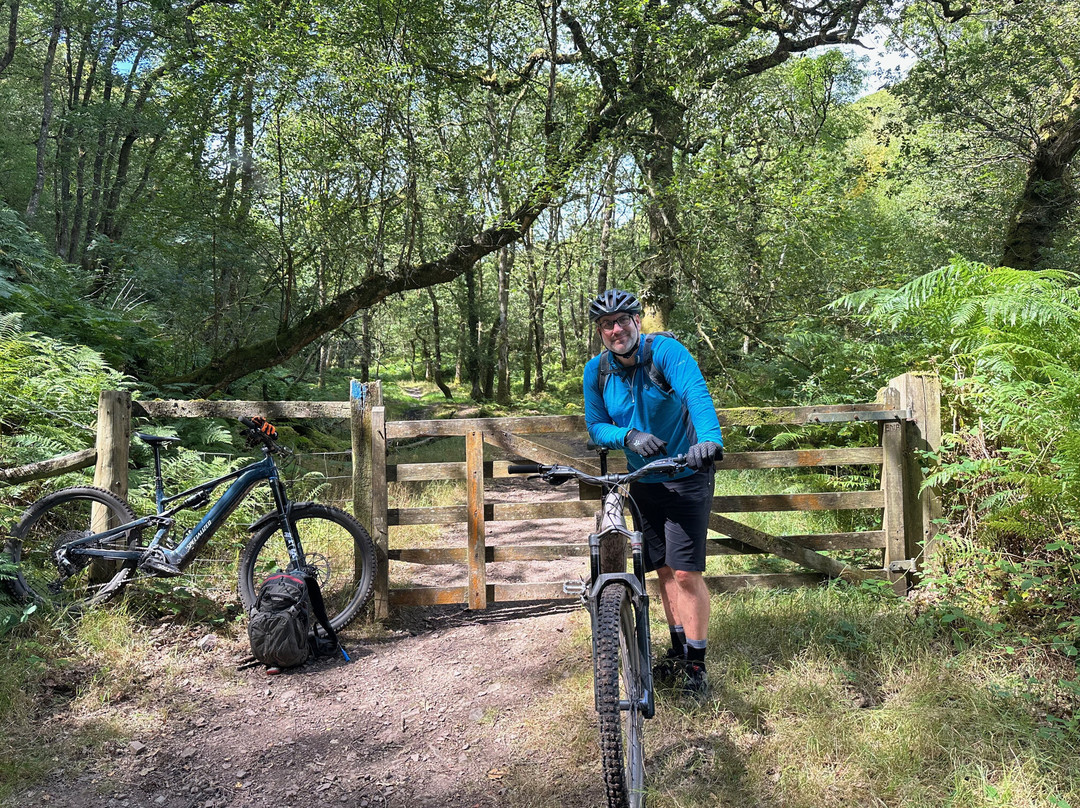 Exmoor Adventures-Porlock必去景点