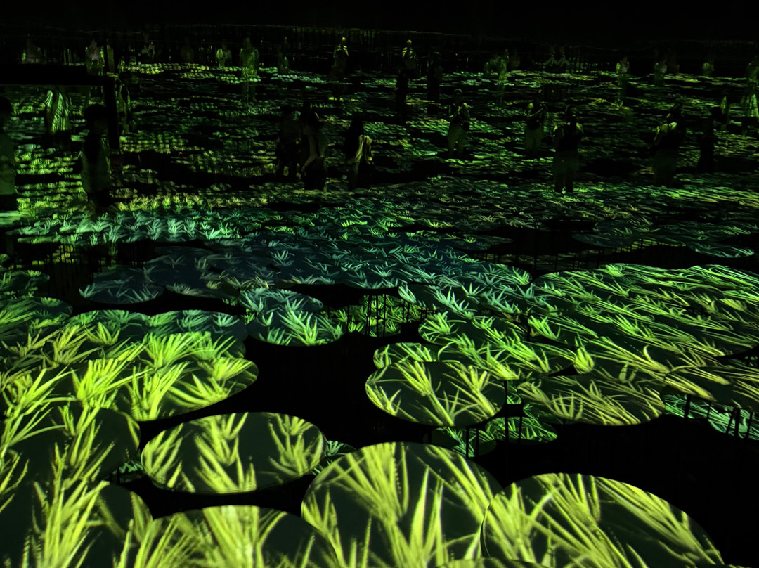 Teamlab Borderless Tokyo-港区必去景点