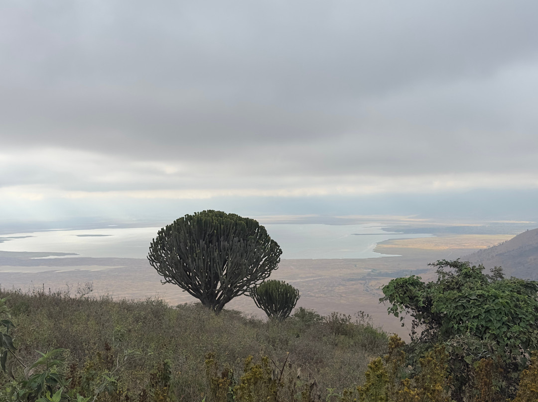 Ngorongoro Crater-恩戈罗恩戈罗保护区必去景点