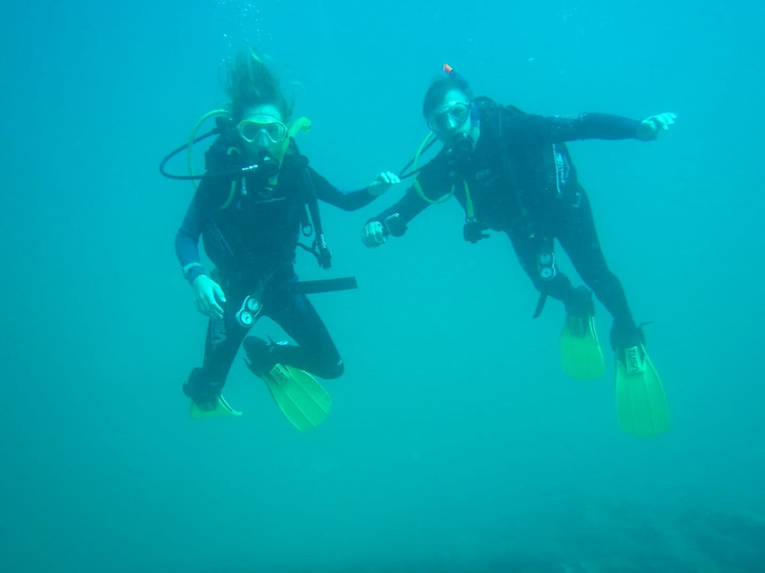 Osa Divers-Osa Peninsula必去景点