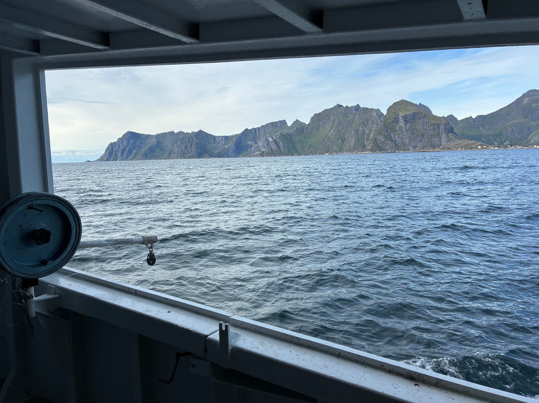 REEL Fishing And RIB Safaries-雷讷必去景点