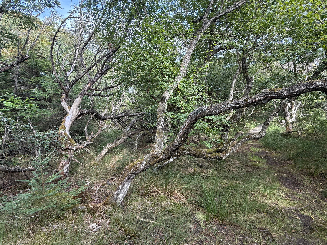 Thy National Park-Hurup必去景点