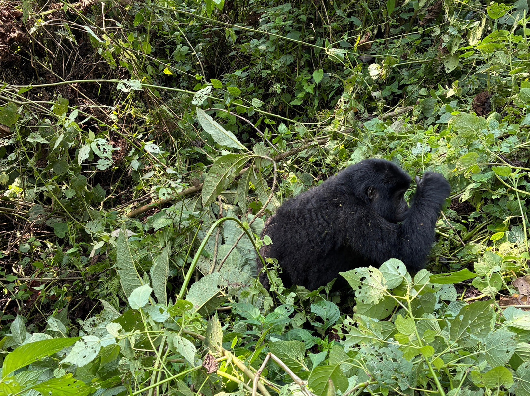 Africa Reveal Safaris-Namugongo必去景点