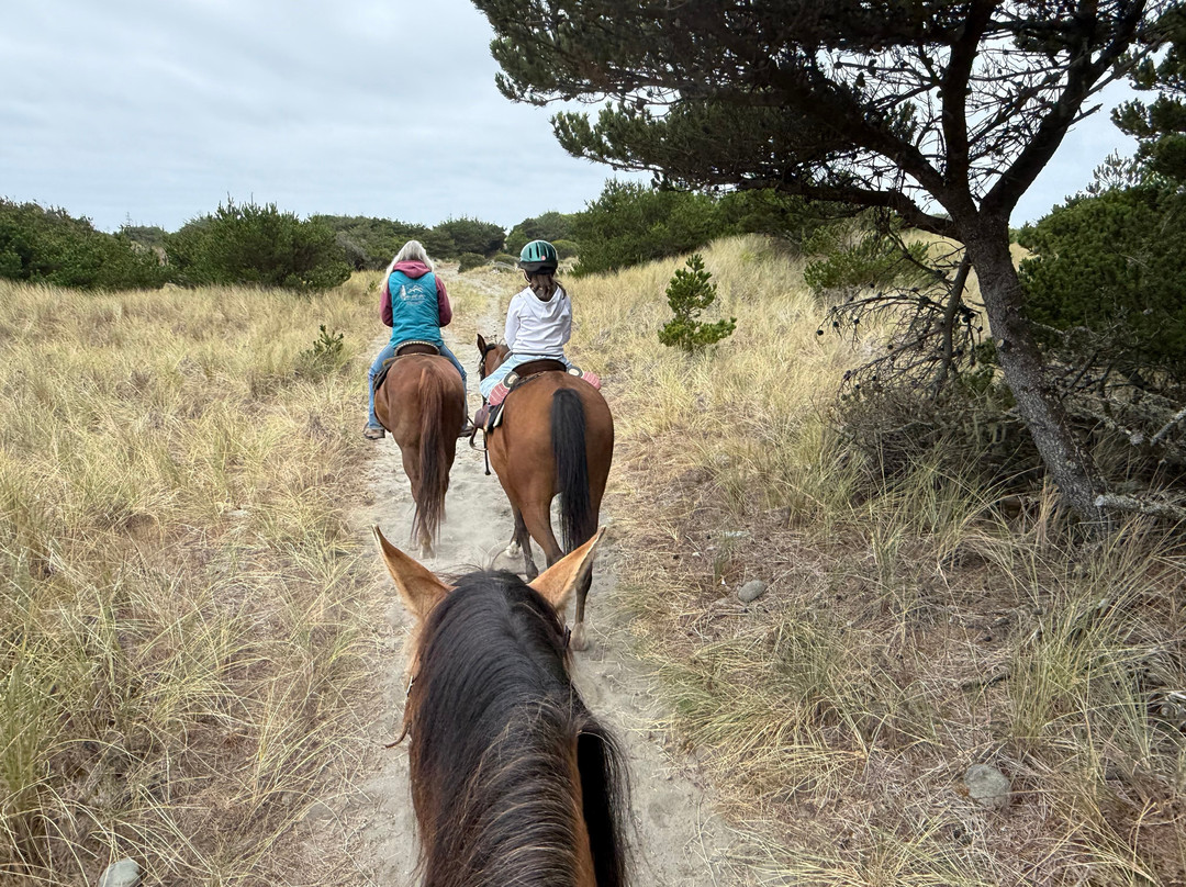 Crescent Trail Rides-克雷森特城必去景点